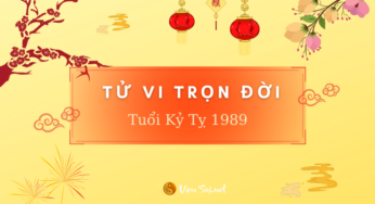 TỬ VI TUỔI KỶ TỴ 1989 – NỮ MẠNG | CHI TIẾT TỬ VI TRỌN ĐỜI